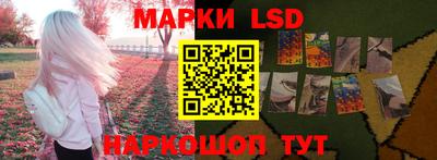 прущие грибы Будённовск
