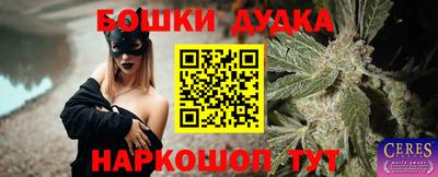 прущие грибы Будённовск