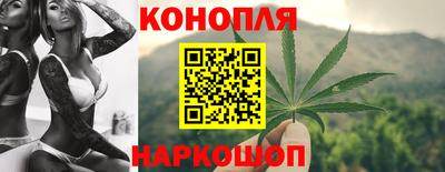 прущие грибы Будённовск
