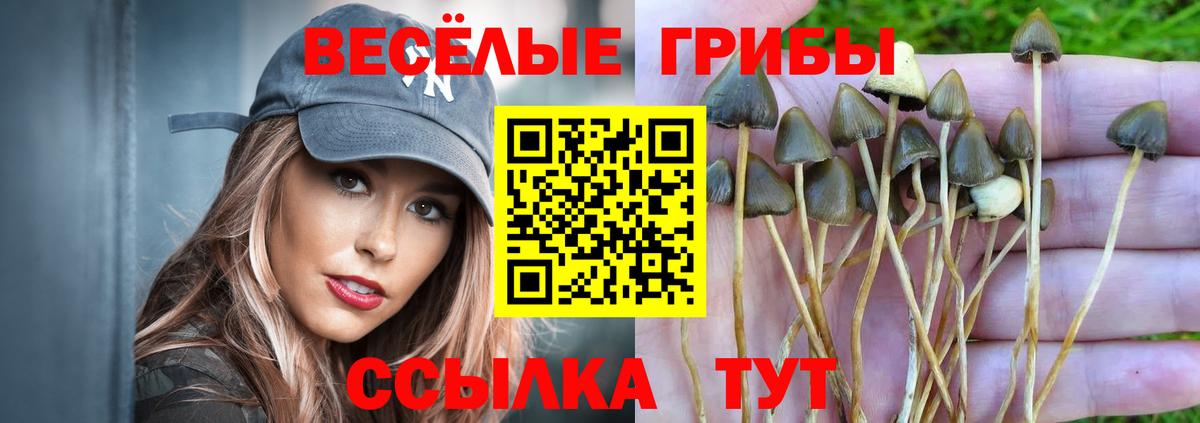 Псков  Псилоцибиновые грибы мухоморы  магазин    Вход с VPN  Псилоцибиновые грибы ЛСД 
